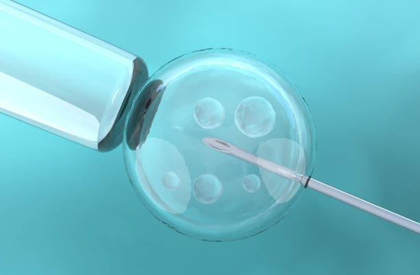 Cracking the code of&nbsp;CRISPR