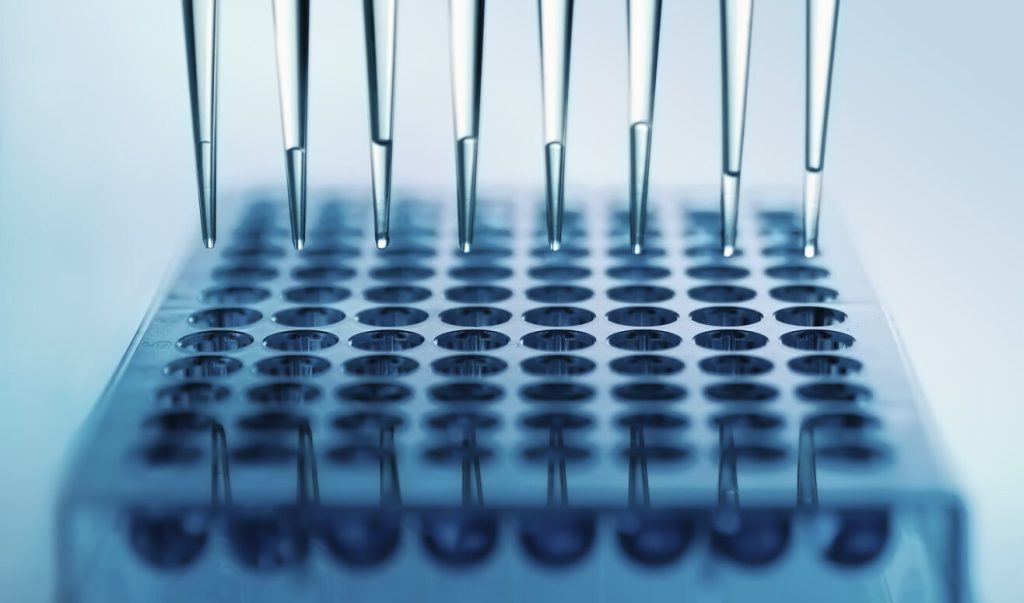 ELISpots: envisioning the immune&nbsp;response