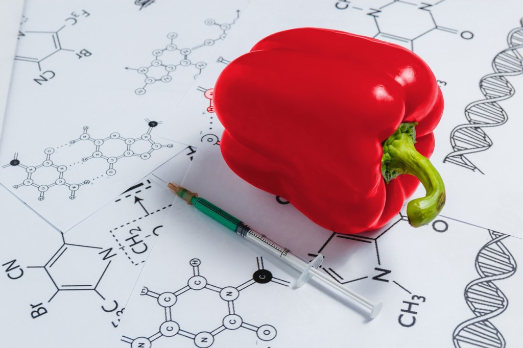 Bioengineering bell peppers for better health: discovering breakthroughs in vitamin&nbsp;D