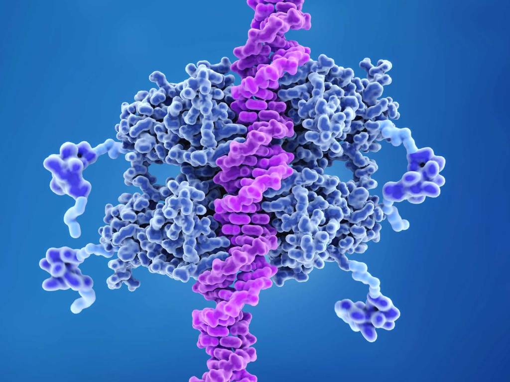 Guardian of the genome: the TP53&nbsp;gene
